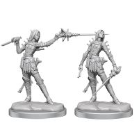 Elfa Ladra - Miniatura Pathfinder Legendary Cuts W02A