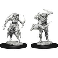 Ladra Tiefling - 2 Miniature D&D Nolzur's Marvelous