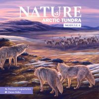 Nature - Arctic Tundra