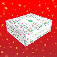 Mystery Box - Christmas 2025 Limited Edition