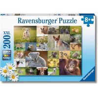 Puzzle I Cuccioli del Mondo - 200 Pezzi XXL