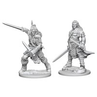 Pathfinder - Deep Cuts Miniatures - Human Male Fighter
