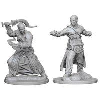 Pathfinder - Deep Cuts Miniatures - Human Male Monk