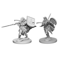 Pathfinder - Deep Cuts Miniatures - Human Female Paladin