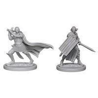 Pathfinder - Deep Cuts Miniatures - Elf Male Paladin