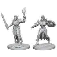 Pathfinder - Deep Cuts Miniatures - Elf Female Fighter