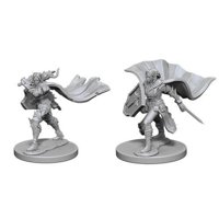 Pathfinder - Deep Cuts Miniatures - Elf Female Paladin