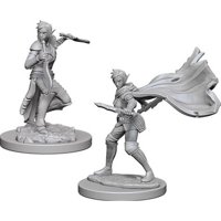 Pathfinder - Deep Cuts Miniatures - Elf Female Rogue