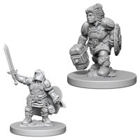 Nolzur's Marvelous Miniatures - Dwarf Female Paladin
