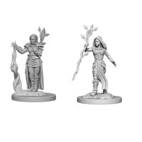 Nolzur's Marvelous Miniatures - Human Female Druid