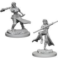 Nolzur's Marvelous Miniatures - Human Female Monk