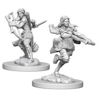Nolzur's Marvelous Miniatures - Air Genasi Female Rogue