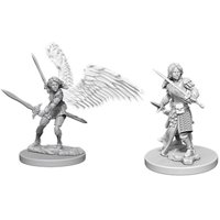 Nolzur's Marvelous Miniatures - Aasimar Female Paladin