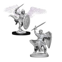 Nolzur's Marvelous Miniatures - Aasimar Male Paladin