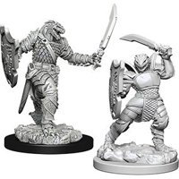 Nolzur's Marvelous Miniatures - Dragonborn Female Paladin