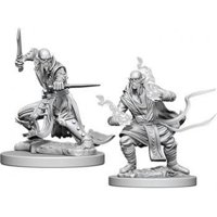 Nolzur's Marvelous Miniatures - Githzerai