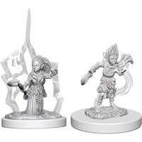 Pathfinder - Deep Cuts Miniatures - Gnome Female Druid