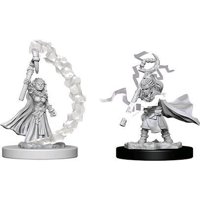 Pathfinder - Deep Cuts Miniatures - Gnome Female Sorcerer