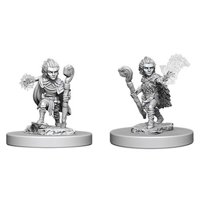 Pathfinder - Deep Cuts Miniatures - Gnome Male Druid