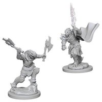 Nolzur's Marvelous Miniatures - Dragonborn Female Fighter