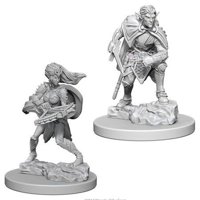 Nolzur's Marvelous Miniatures - Drow
