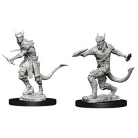 Nolzur's Marvelous Miniatures - Tiefling Male Rogue