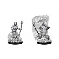 Nolzur's Marvelous Miniatures - Water Genasi Male Druid
