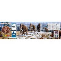 Neanderthal-Greenland - Plancia da Gioco