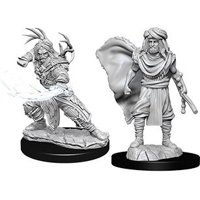 Nolzur's Marvelous Miniatures - Human Male Druid