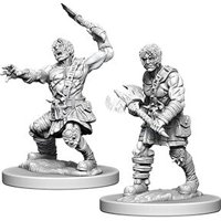 Nolzur's Marvelous Miniatures - Nameless One