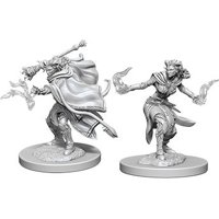 Nolzur's Marvelous Miniatures - Tiefling Female Warlock