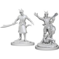 Nolzur's Marvelous Miniatures - Tiefling Male Warlock