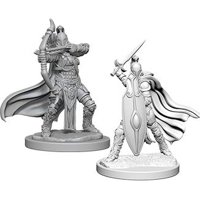Pathfinder - Deep Cuts Miniatures - Female Knights, Grey Maidens