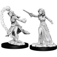 Pathfinder - Deep Cuts Miniatures - Human Female Wizard