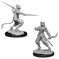 Nolzur's Marvelous Miniatures - Tabaxi Male Rogue