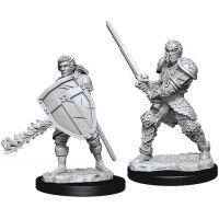Nolzur's Marvelous Miniatures - Human Male Fighter