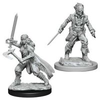 Nolzur's Marvelous Miniatures - Vampire Hunters
