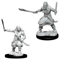 Nolzur's Marvelous Miniatures - Bandits