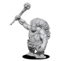 Nolzur's Marvelous Miniatures - Hill Giant