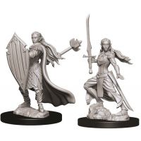 Nolzur's Marvelous Miniatures - Elf Female Paladin