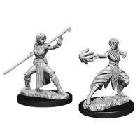 Nolzur's Marvelous Miniatures - Half-Elf Female Monk