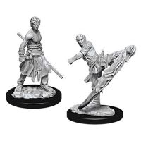 Nolzur's Marvelous Miniatures - Half-Elf Male Monk