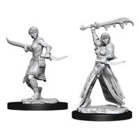 Nolzur's Marvelous Miniatures - Human Female Rogue