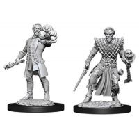 Nolzur's Marvelous Miniatures - Human Male Warlock
