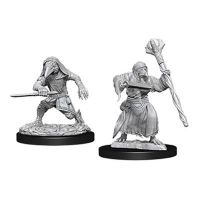 Nolzur's Marvelous Miniatures - Kenku Adventurers