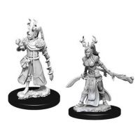 Nolzur's Marvelous Miniatures - Human Female Druid