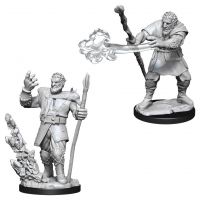 Nolzur's Marvelous Miniatures - Firbolg Male Druid