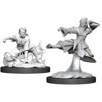 Nolzur's Marvelous Miniatures - Human Female Monk