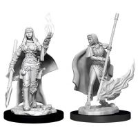 Pathfinder - Deep Cuts Miniatures - Human Female Oracle