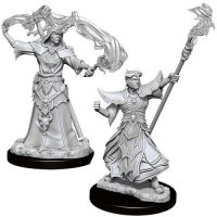 Pathfinder - Deep Cuts Miniatures - Human Male Sorcerer